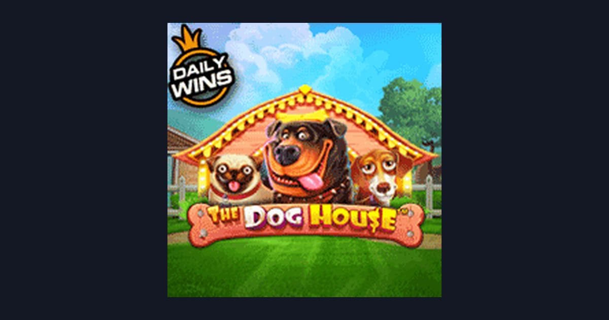Rahasia Menang The Dog House: Tips Jitu untuk Pemula Slot