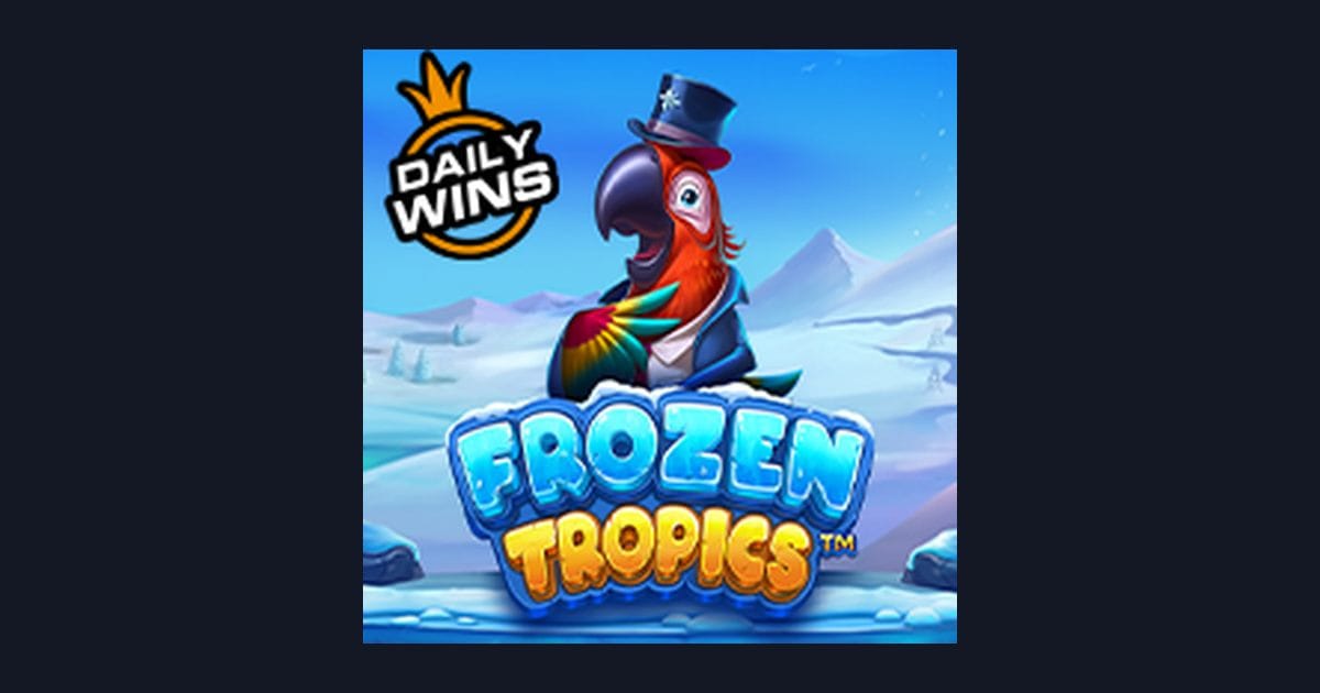Raih Bonus New Member dan Menangkan Slot Frozen Tropics dengan Peluang Besar