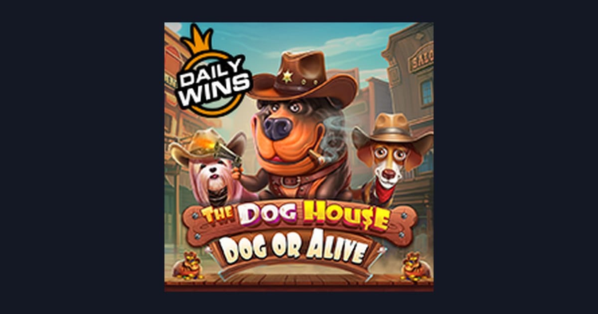 Tips Menang Buat Pemula di Slot The Dog House Dog Or Alive
