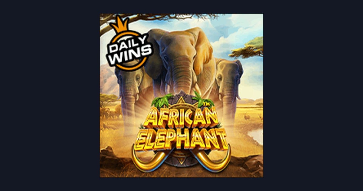 Rahasia Trik Auto Maxwin di Slot African Elephant dari Pragmatic Play